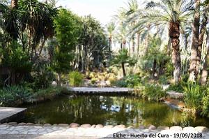 19 ELCHE HUERTO DEL CURA (117)